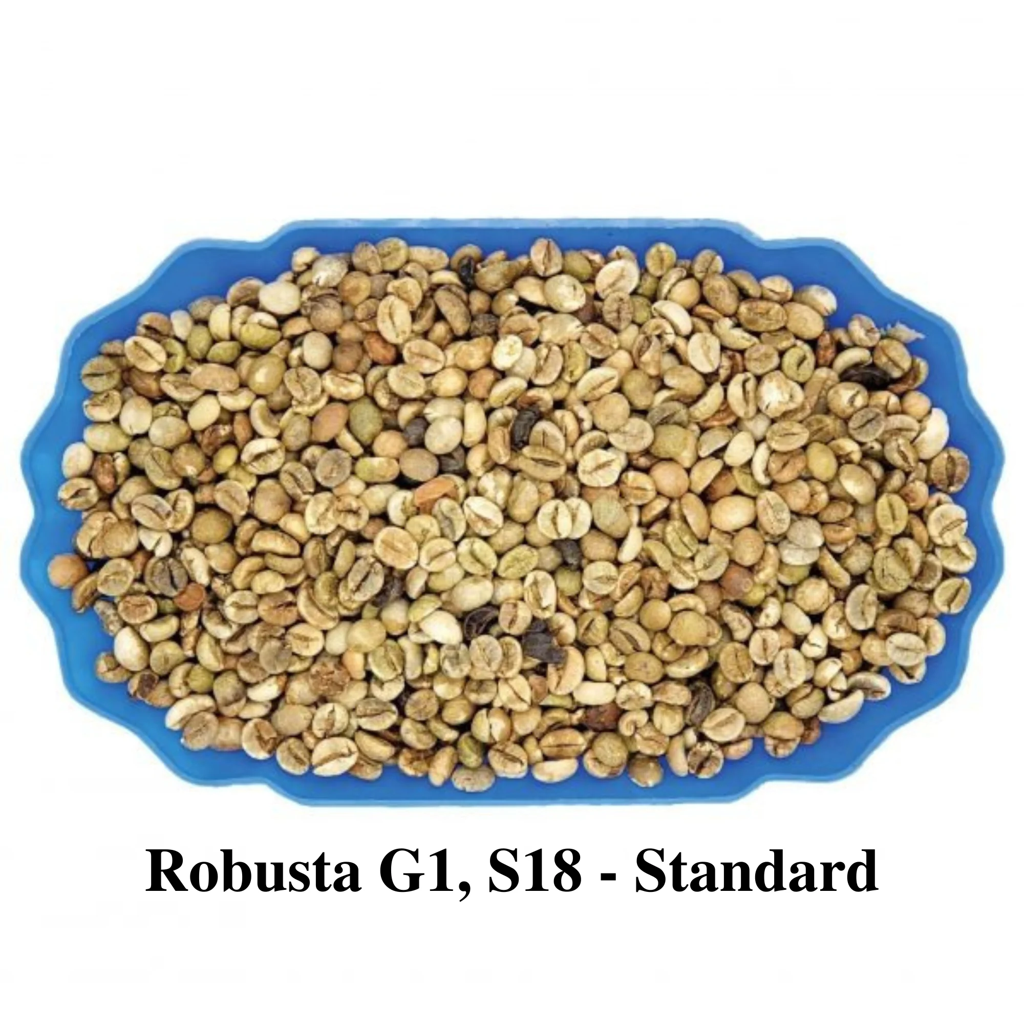 Green Robusta Coffee